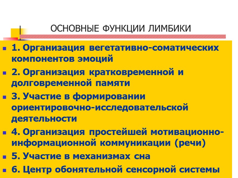 ОСНОВНЫЕ ФУНКЦИИ ЛИМБИКИ 1. Организация вегетативно-соматических компонентов эмоций 2. Организация кратковременной и долговременной памяти